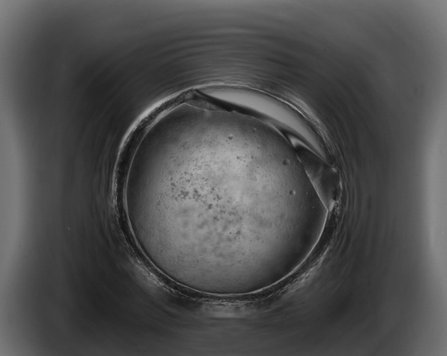 X0000085750780200703231131