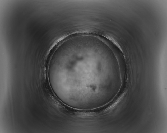 X0000085750781200703231131
