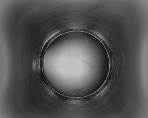 X0000085750782200703231131