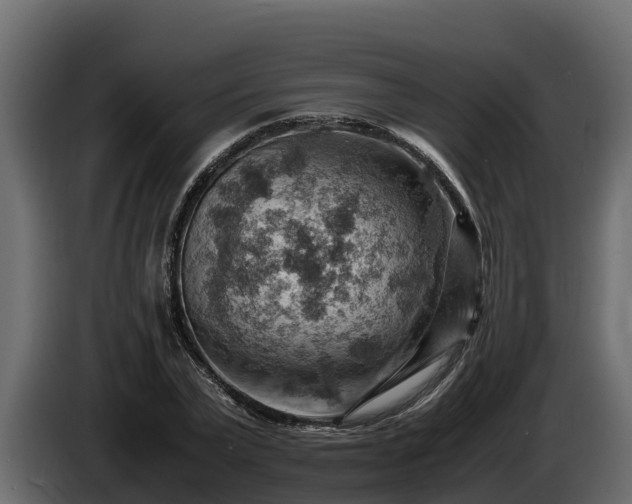 X0000085750783200703231131