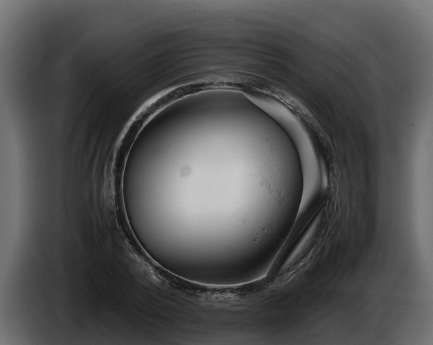 X0000085750784200703231131