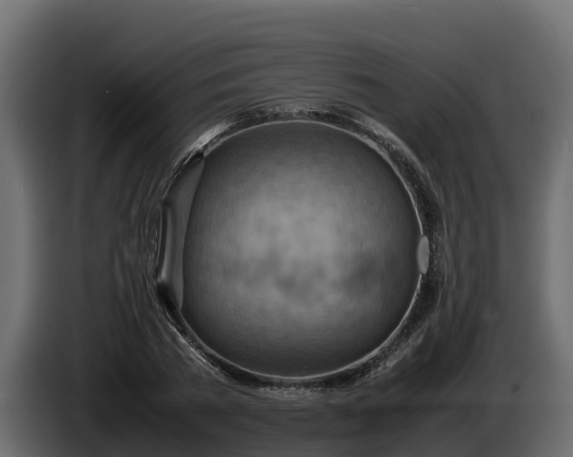 X0000085750785200703231131