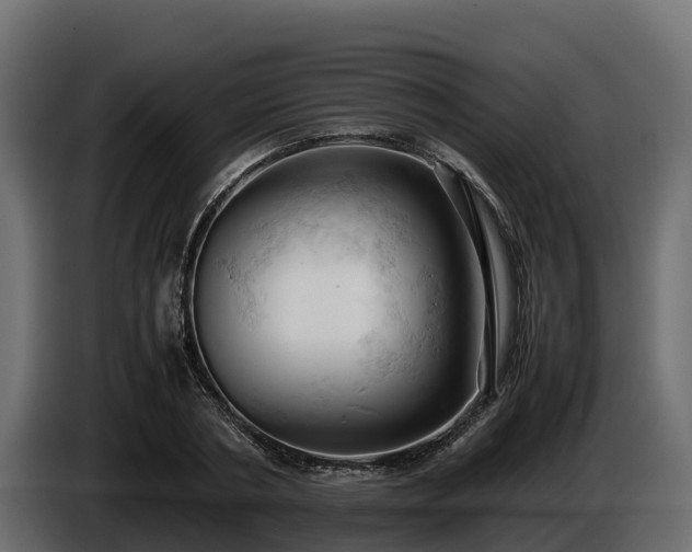 X0000085750786200703231131