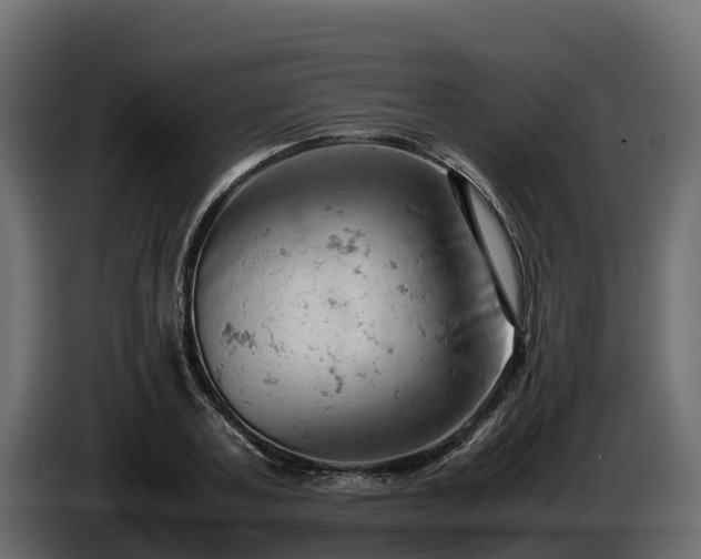X0000085750787200703231131