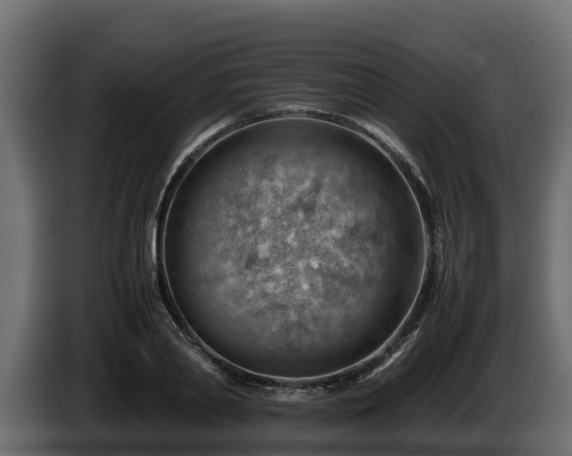 X0000085750790200703231131