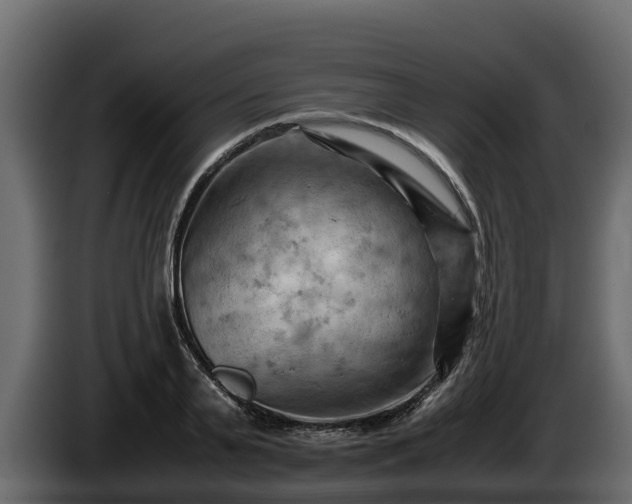 X0000085750791200703231131