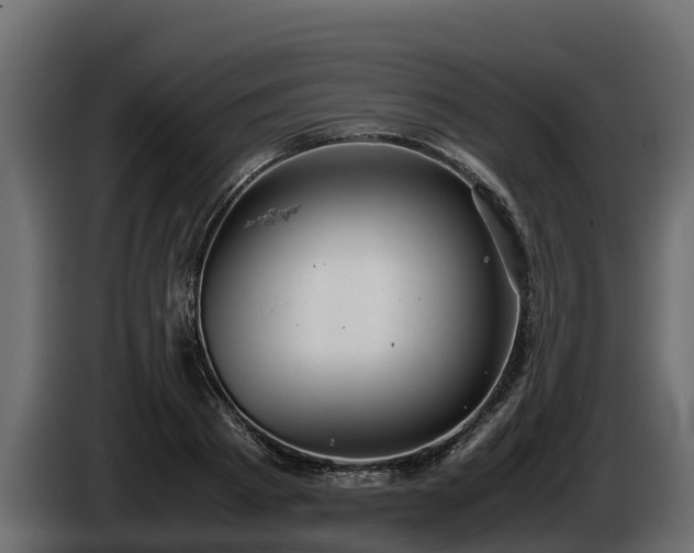 X0000085750793200703231131