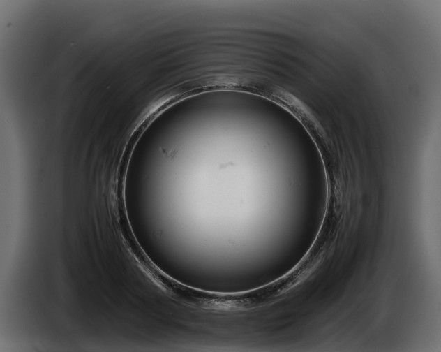 X0000085750794200703231131