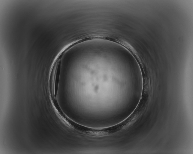 X0000085750795200703231131
