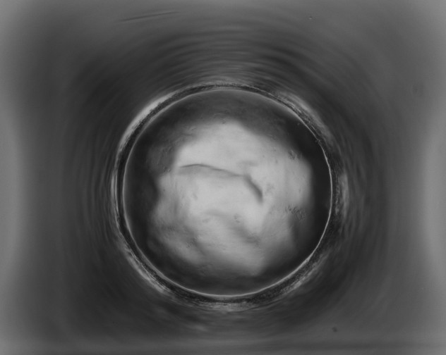 X0000085750796200703231131