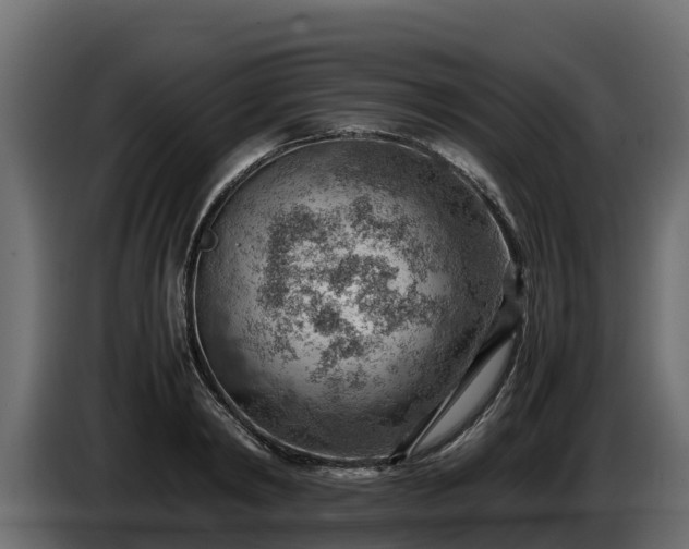 X0000085750798200703231131