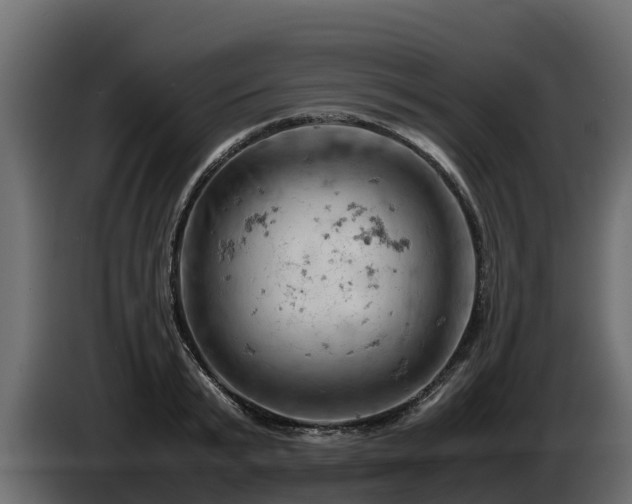 X0000085750799200703231131