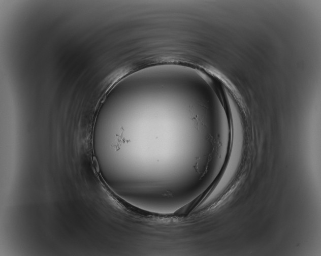 X0000085750801200703231131