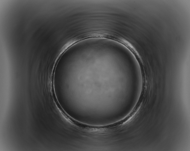 X0000085750802200703231131