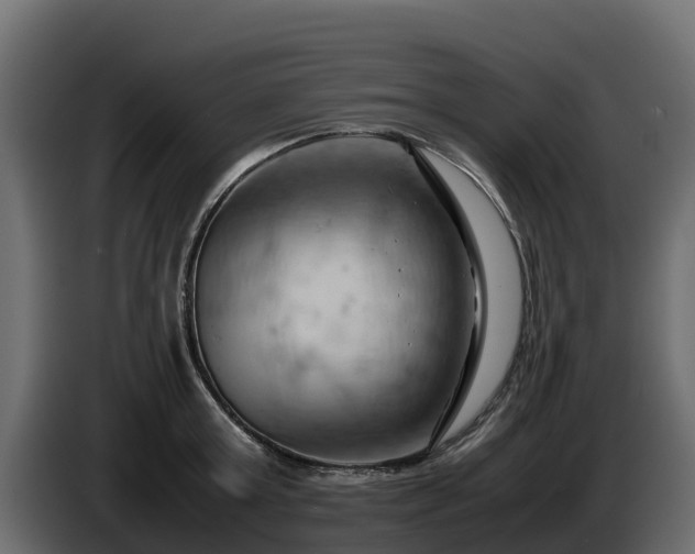 X0000085750803200703231131