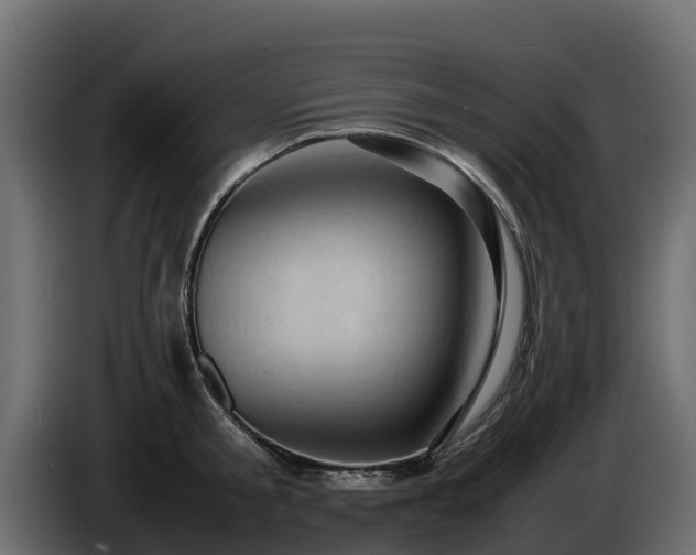 X0000085750805200703231131