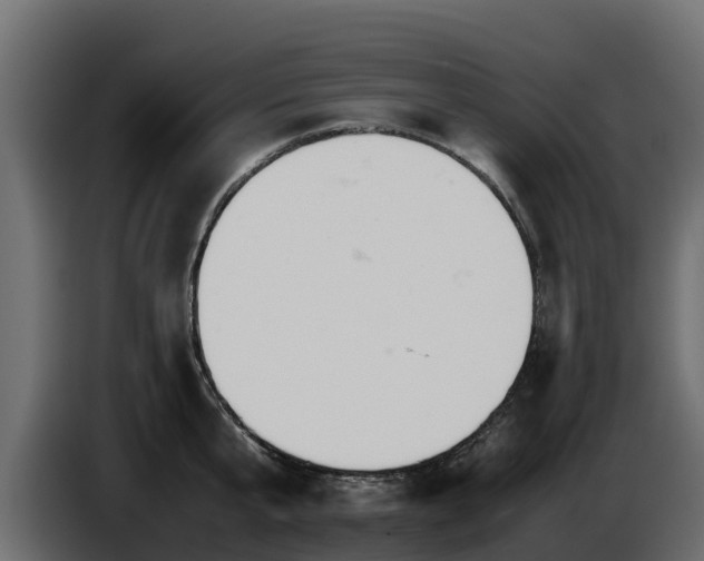 X0000085750807200703231131