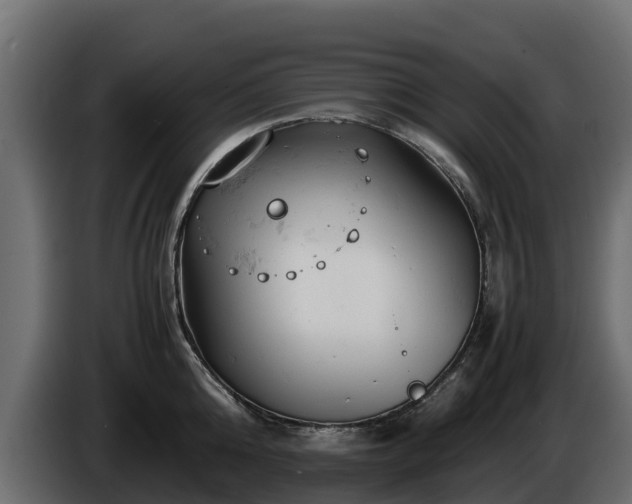 X0000085750808200703231131