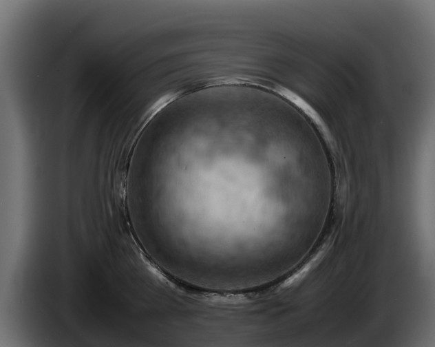 X0000085750809200703231131