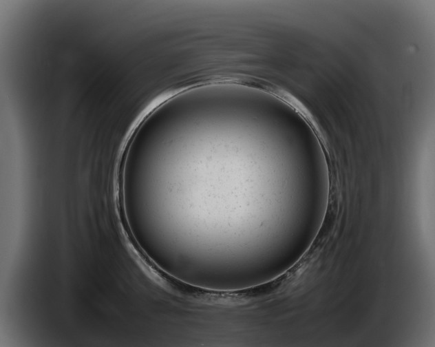 X0000085750811200703231131