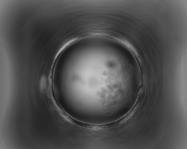 X0000085750814200703231131