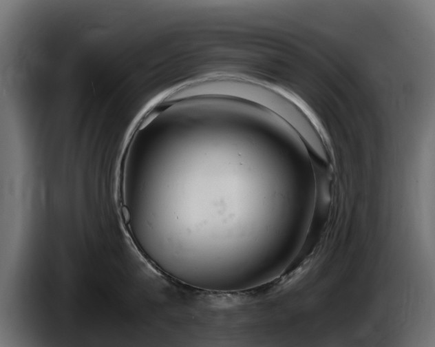 X0000085750815200703231131