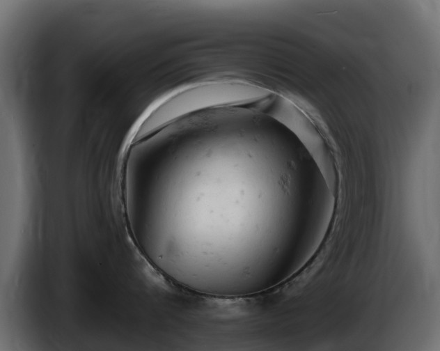 X0000085750816200703231131