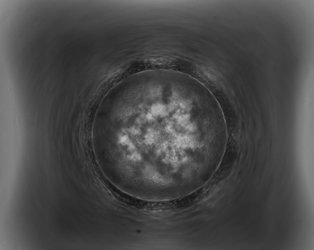 X0000085750817200703231130