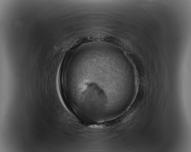 X0000085750818200703231130