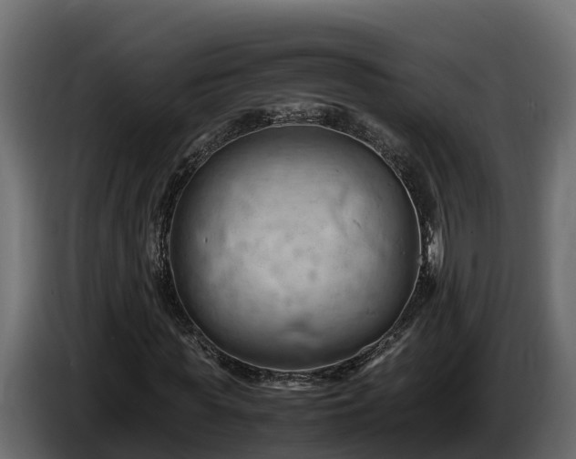 X0000085750819200703231130