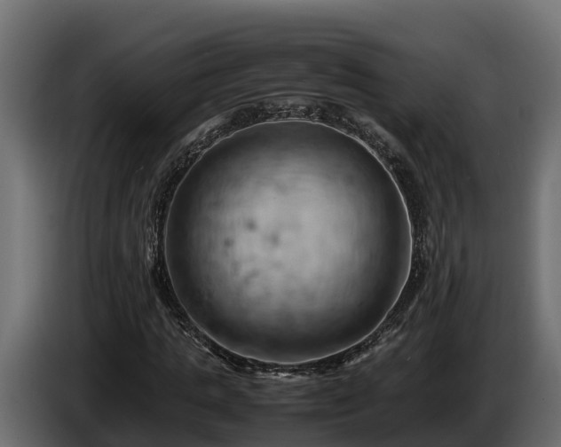 X0000085750821200703231130
