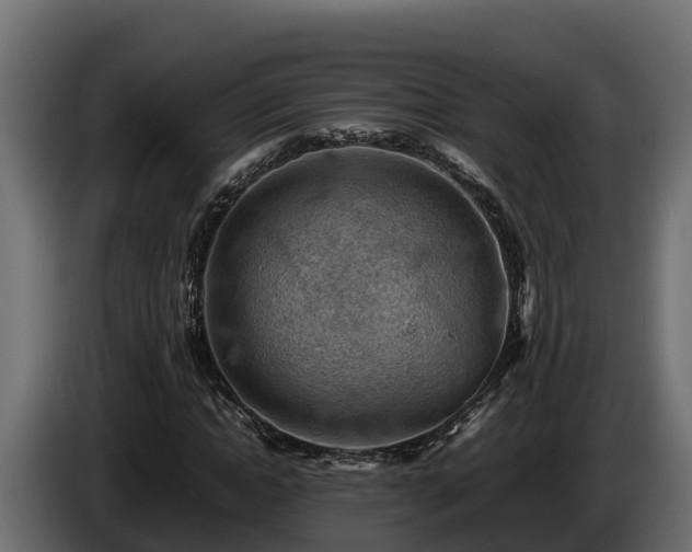 X0000085750822200703231130