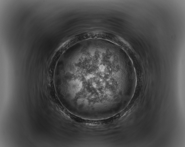 X0000085750823200703231130