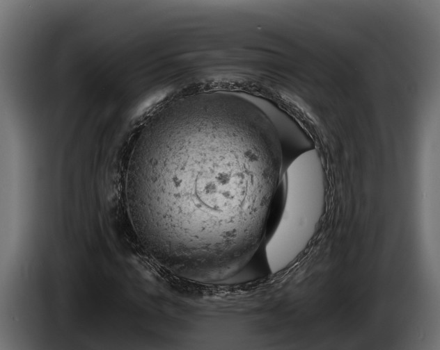 X0000085750824200703231130