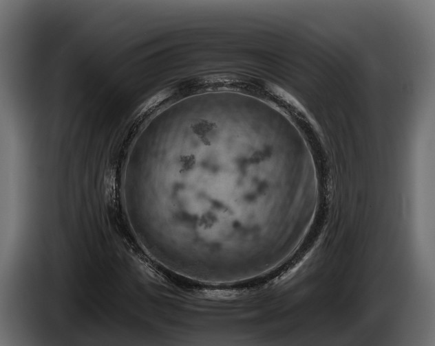 X0000085750825200703231130