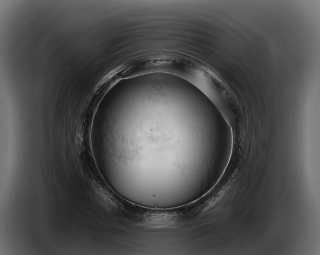 X0000085750826200703231130