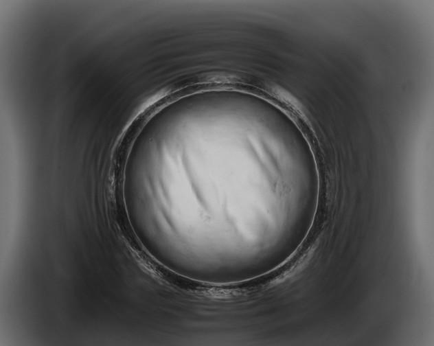 X0000085750827200703231130