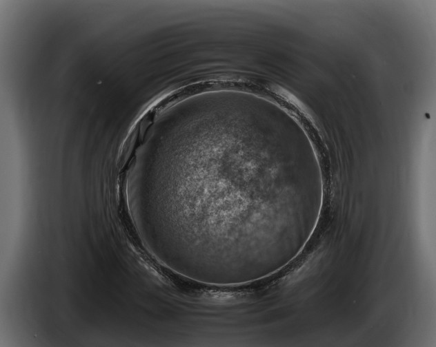 X0000085750829200703231130