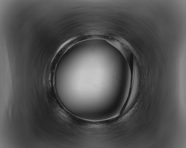 X0000085750830200703231130