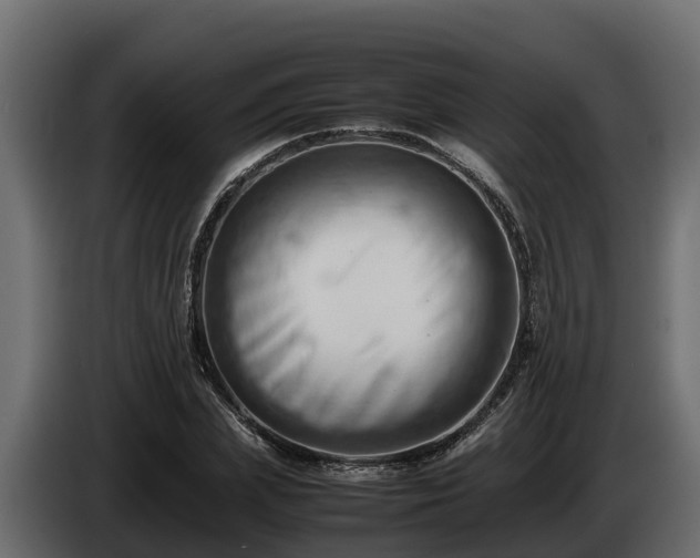 X0000085750831200703231130