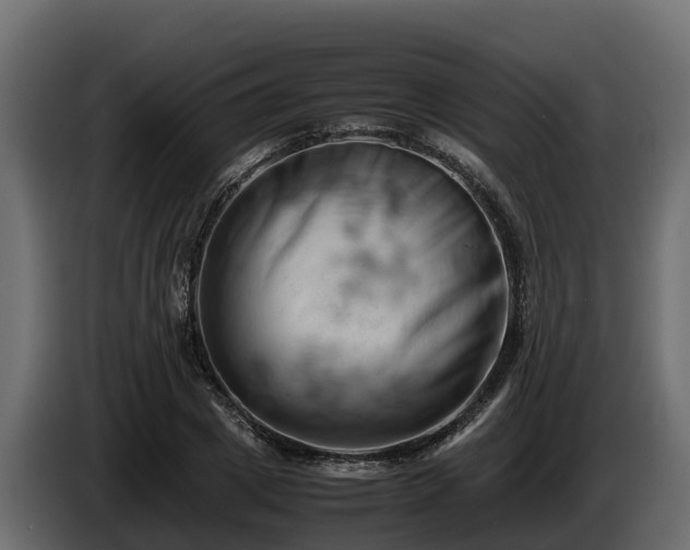 X0000085750833200703231130