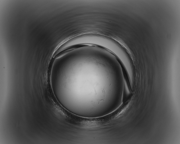 X0000085750834200703231130