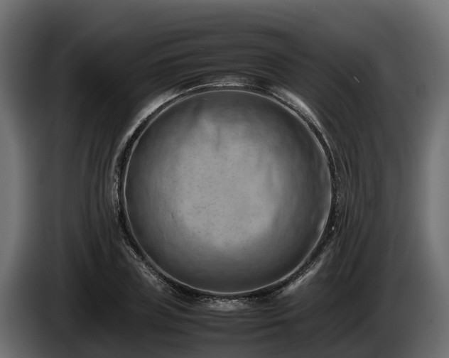 X0000085750835200703231130