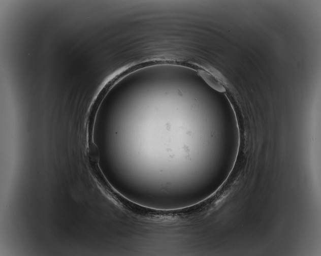 X0000085750838200703231130