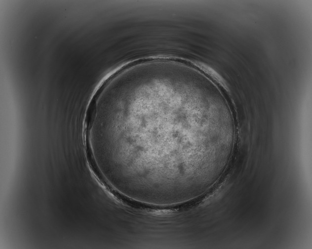 X0000085750839200703231130