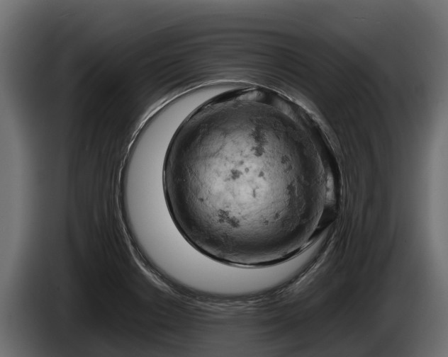 X0000085750842200703231130