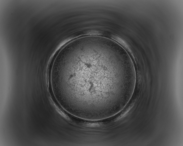 X0000085750843200703231130