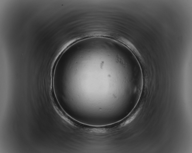 X0000085750844200703231130