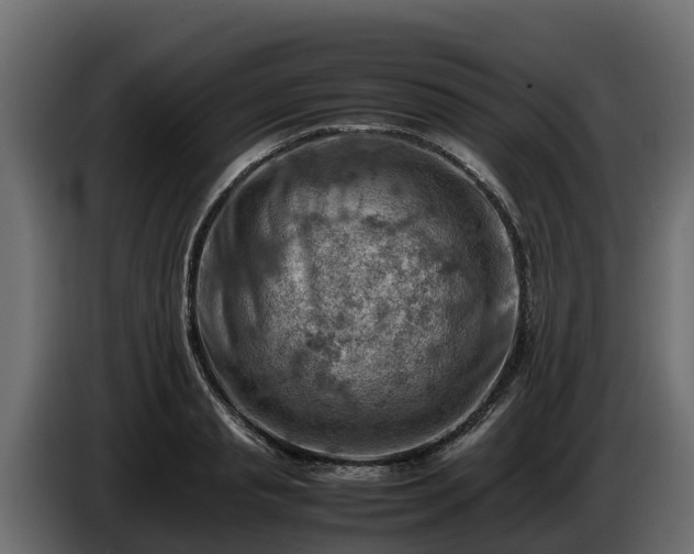 X0000085750845200703231130