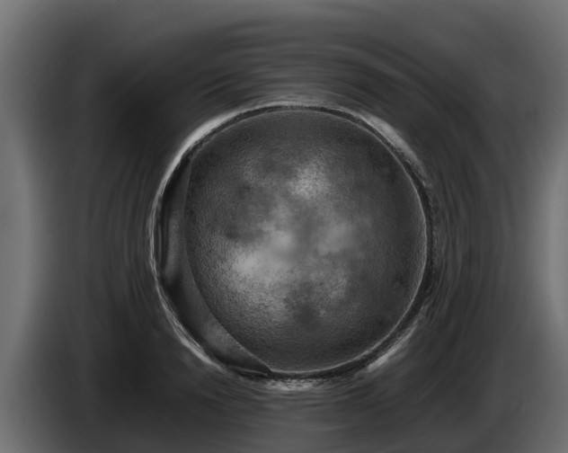 X0000085750846200703231130